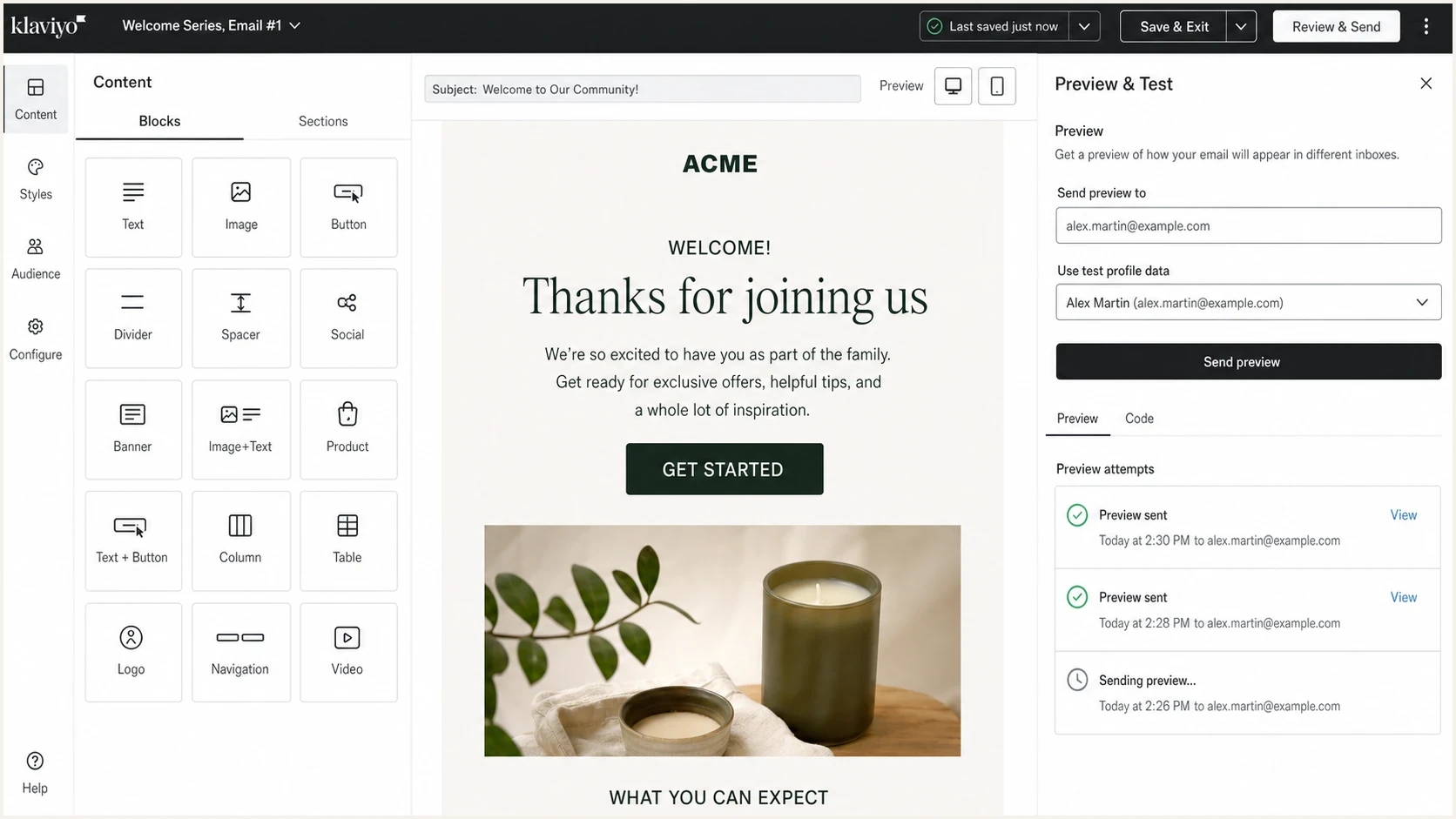 Klaviyo preview and test email panel with recipient and profile fields.