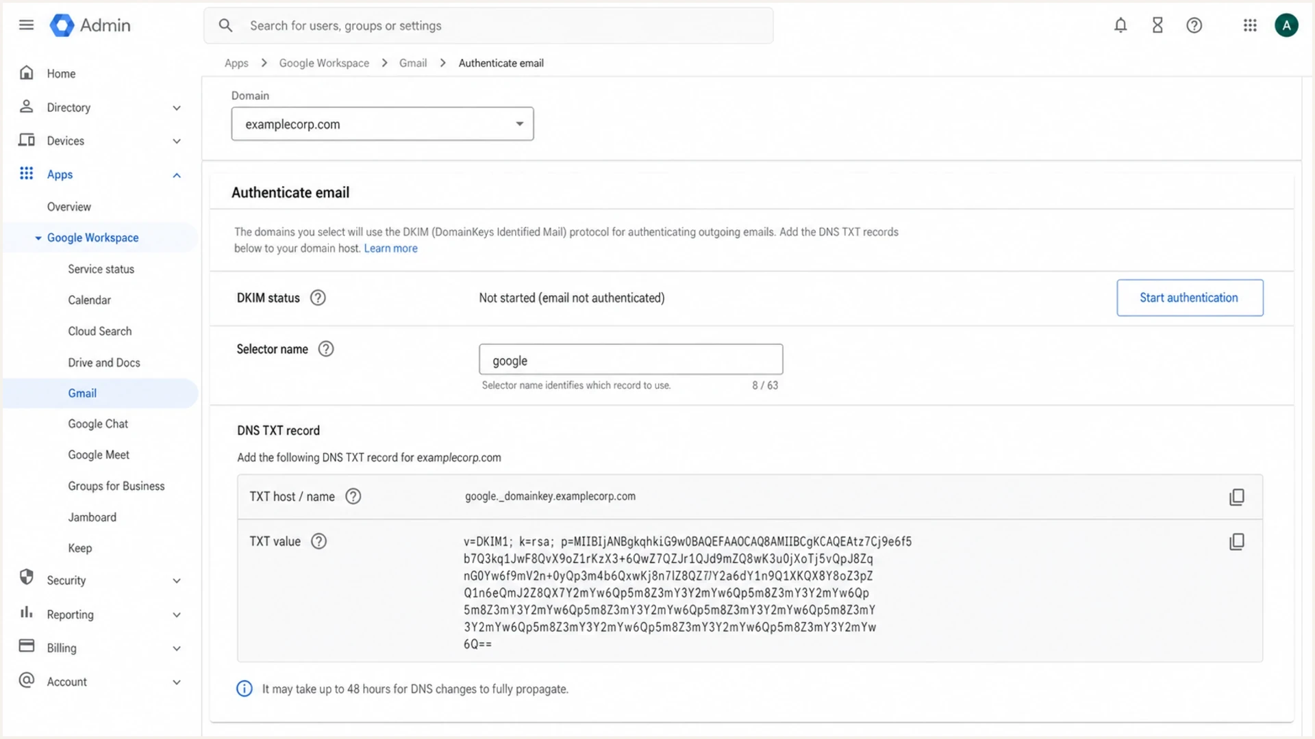 Google Admin console showing where DKIM authentication is managed for a custom domain.
