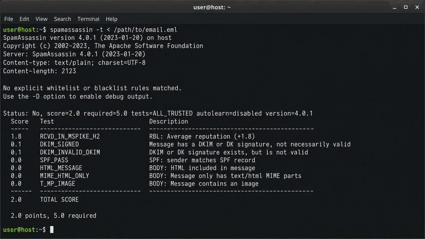 Apache SpamAssassin terminal output showing DKIM_SIGNED and DKIM_INVALID_DKIM rule hits.