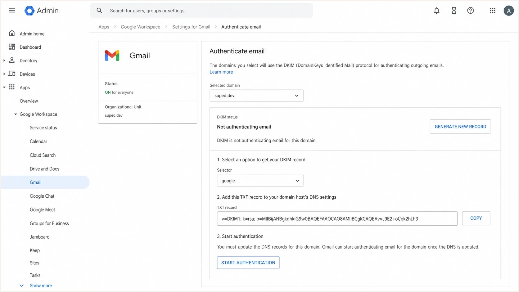 Google Admin console DKIM settings for a selected Workspace domain.