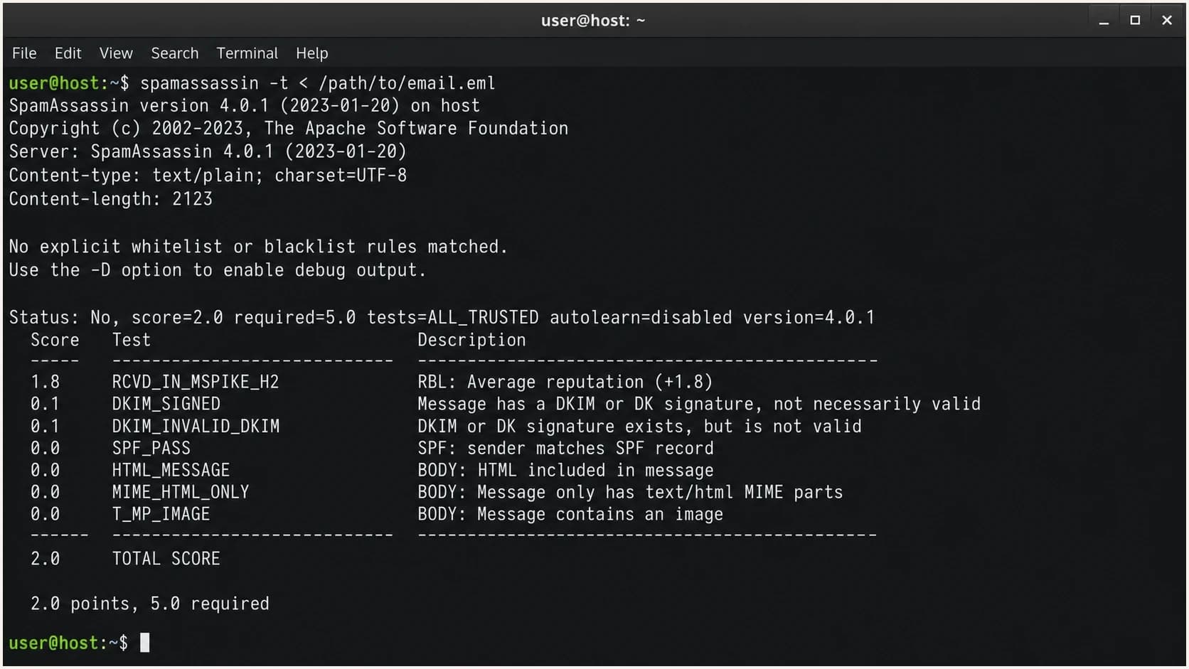 Apache SpamAssassin terminal output showing DKIM_SIGNED and DKIM_INVALID_DKIM rule hits.