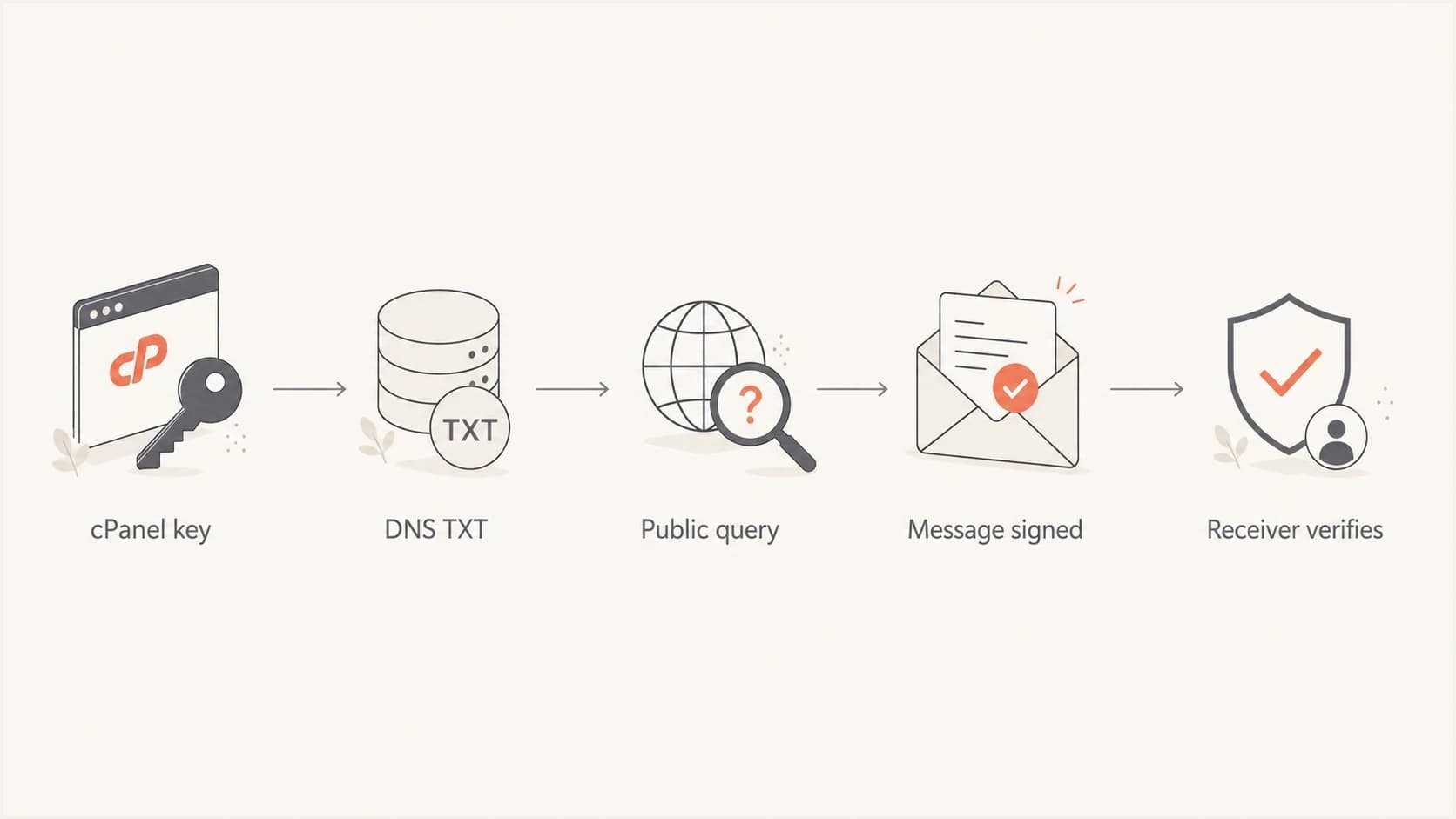 A five-step flowchart showing how a cPanel DKIM key moves through DNS and message verification.