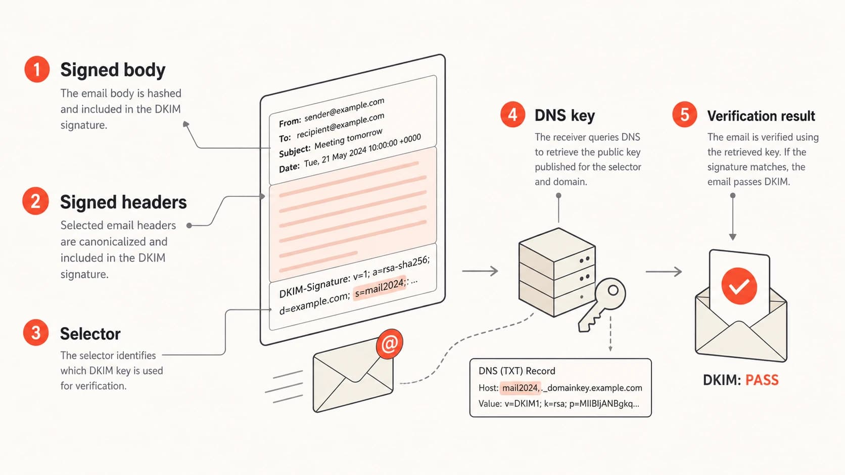 DKIM verification uses the signed body, signed headers, selector, DNS key, and result.