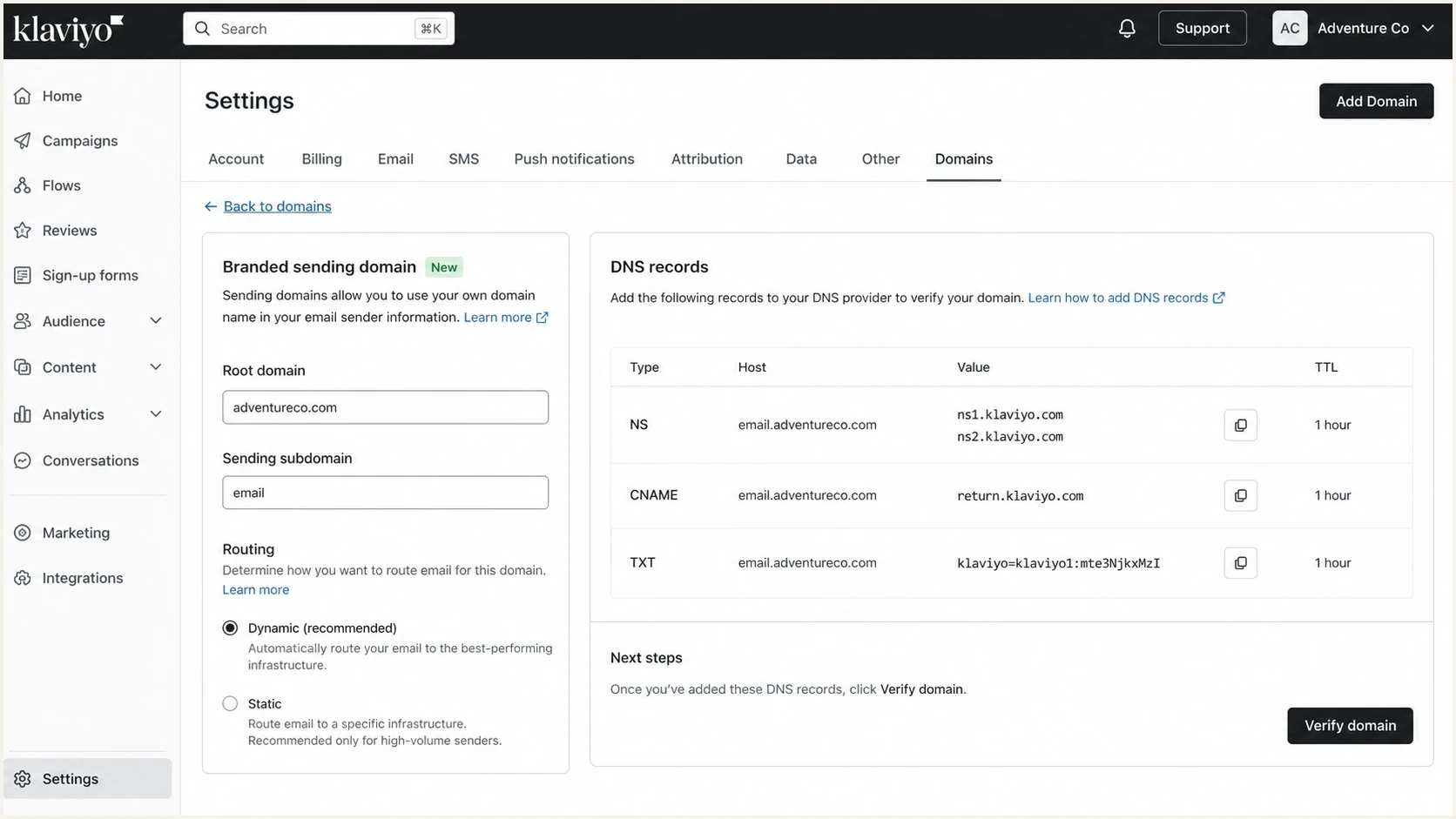Klaviyo Domains settings showing branded sending domain setup choices.