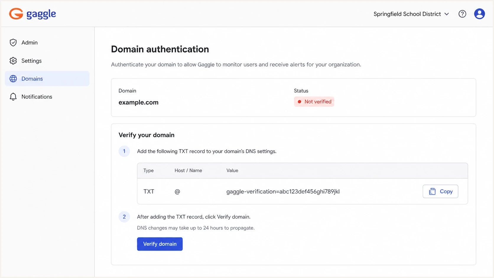 Gaggle admin domain verification screen with DNS TXT record details.