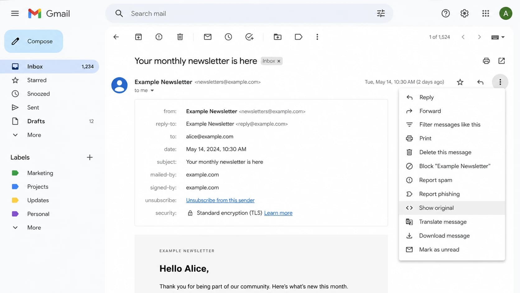 Gmail message menu showing where to open the original message source.