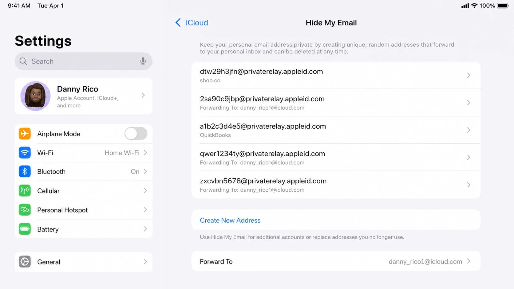 Apple iPhone Settings showing where Hide My Email aliases are managed.