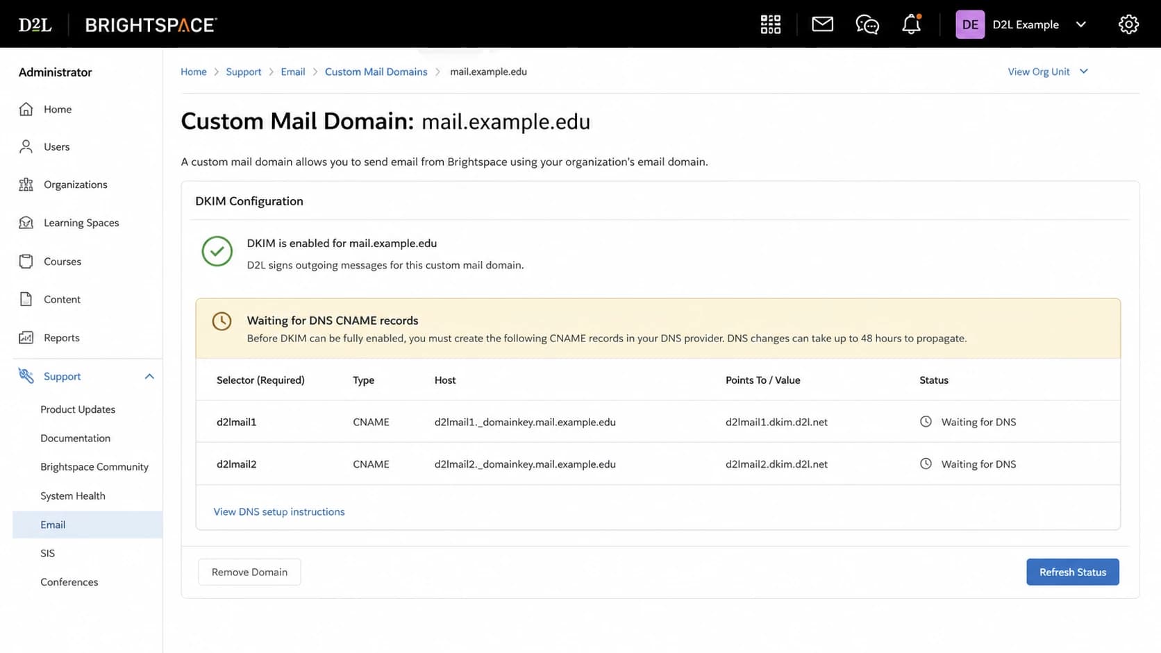 Brightspace custom mail domain screen showing two DKIM selectors.