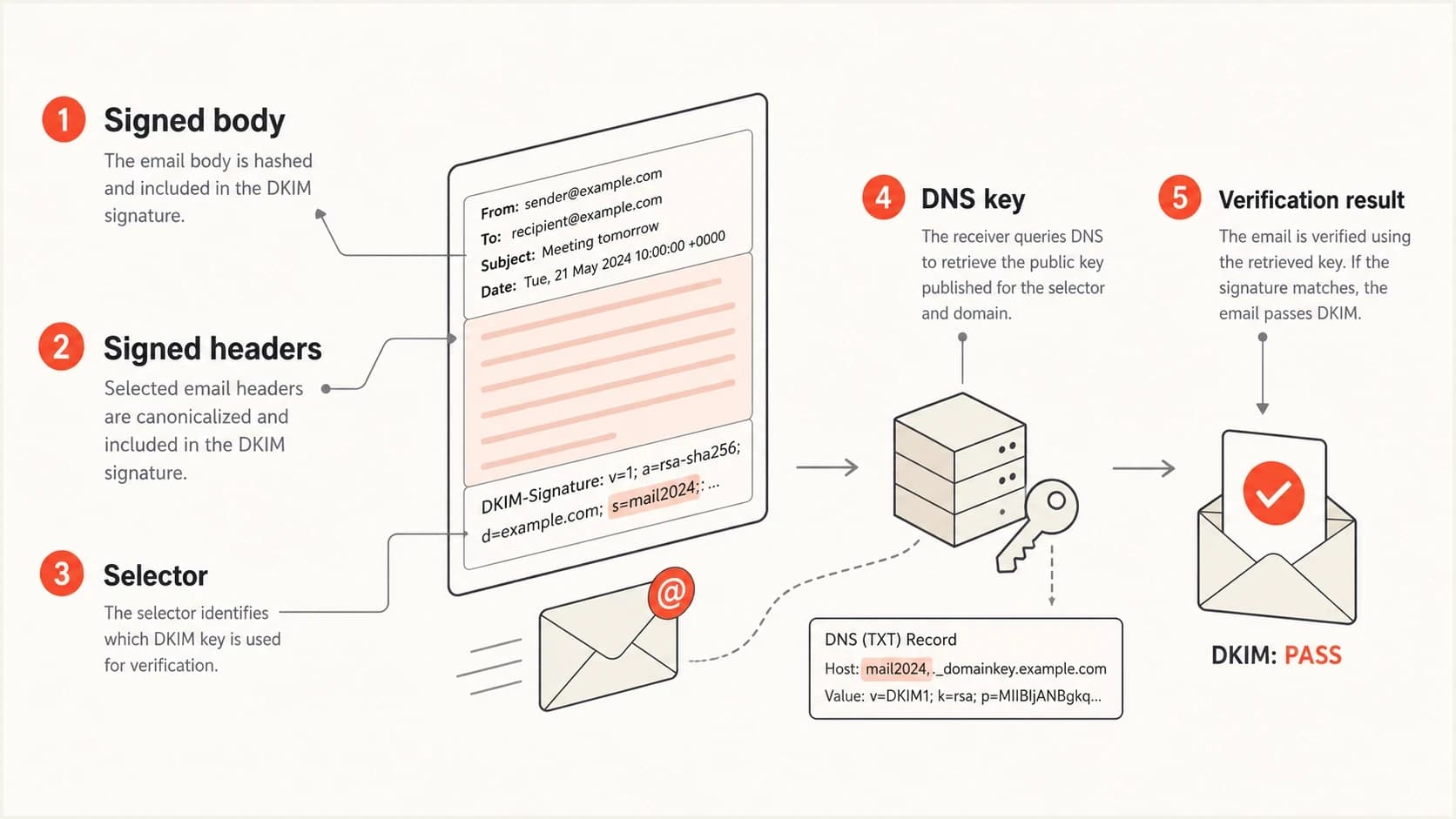 DKIM verification uses the signed body, signed headers, selector, DNS key, and result.
