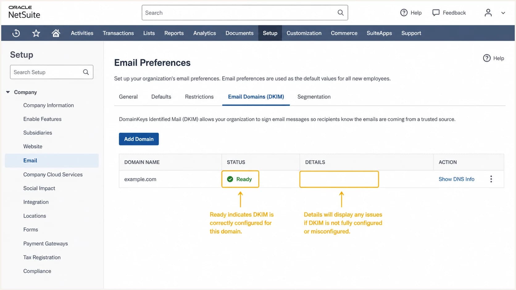 NetSuite DKIM domain showing Ready status and no details error