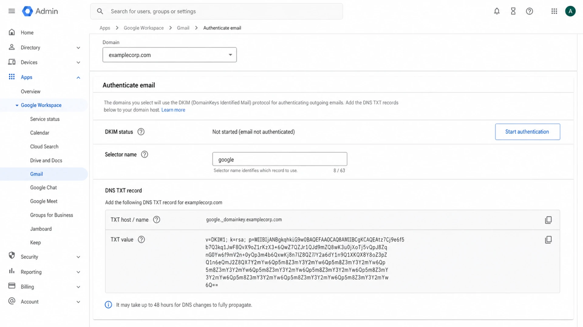 Google Admin console showing where DKIM authentication is managed for a custom domain.