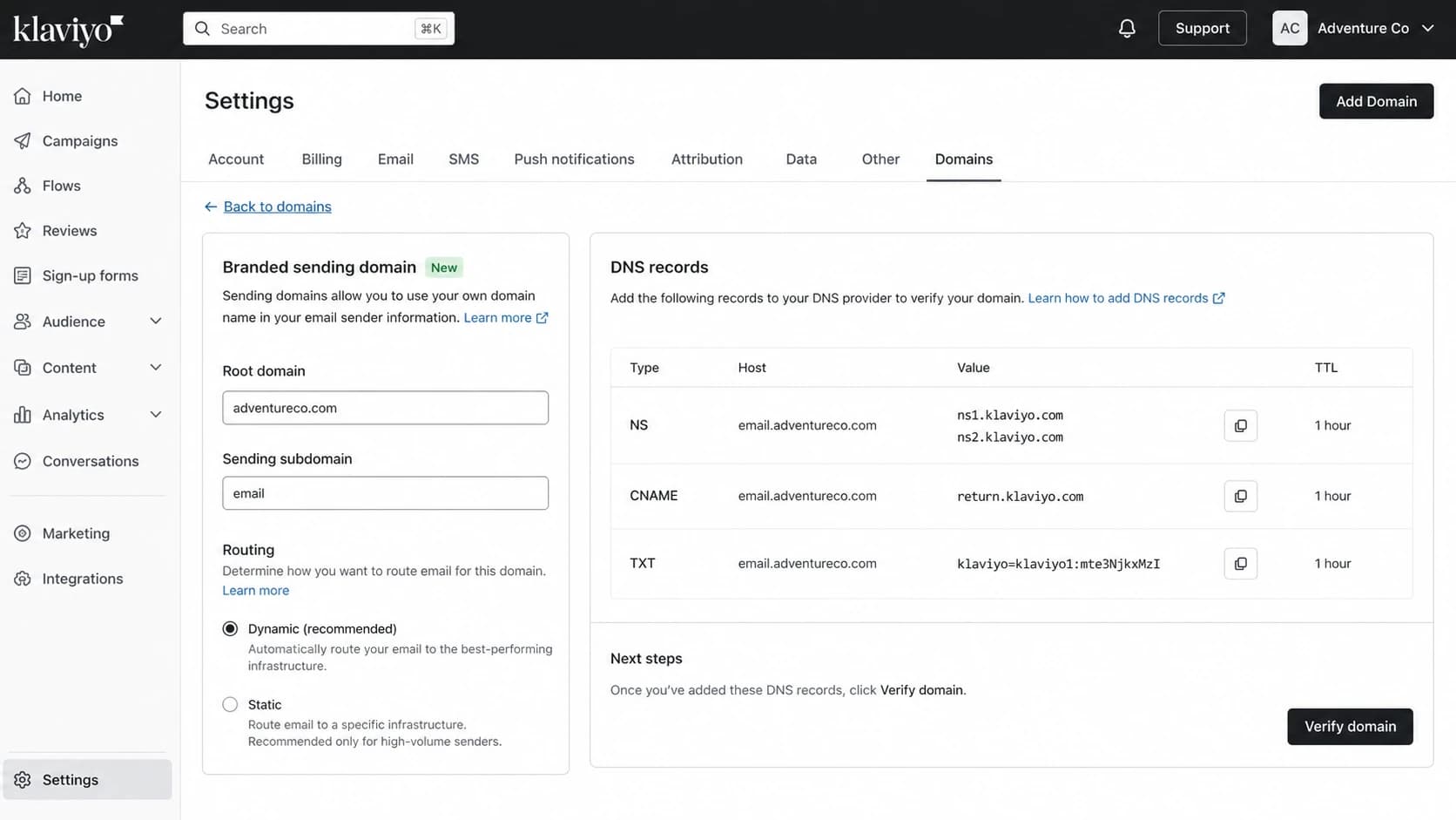 Klaviyo Domains settings showing branded sending domain setup choices.