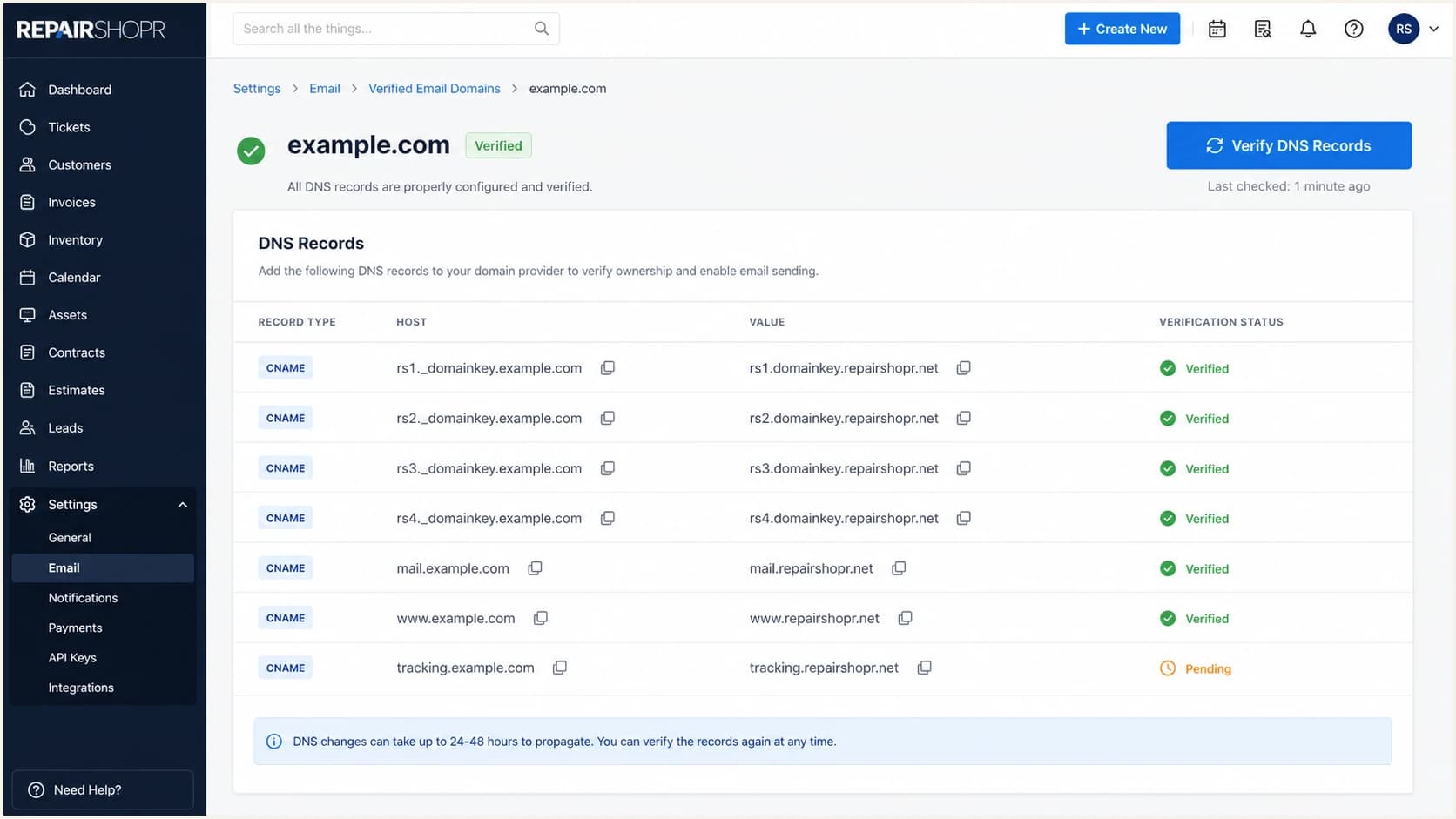RepairShopr generated DNS records and verification button