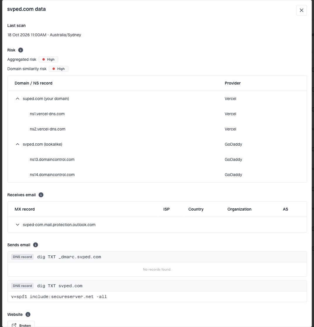 The investigation view compares DNS providers and shows the last scan, risk rating, and email DNS records.